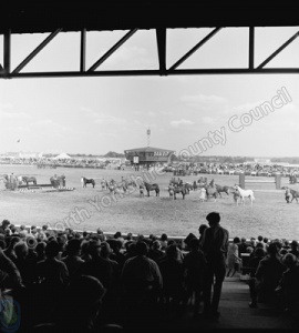 Great Yorkshire Show, 1967